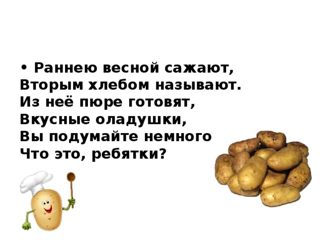 • Раннею весной сажают,   Вторым хлебом называют.   Из неё пюре готовят,   Вкусные оладушки,   Вы подумайте немного,   Что это, ребятки?   