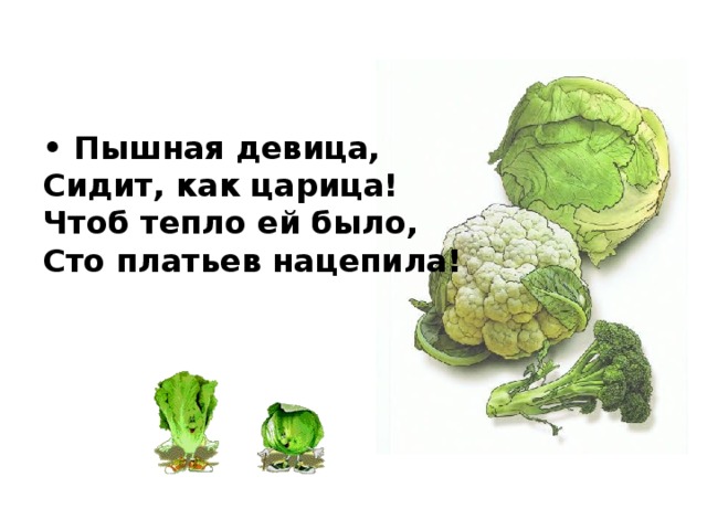 • Пышная девица,   Сидит, как царица!   Чтоб тепло ей было,   Сто платьев нацепила!    
