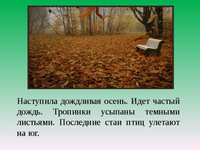 Наступила золотая осень. Идет редкий дождь. Тропинки усыпаны пестрыми листьями. Первые стаи птиц улетают на юг. 