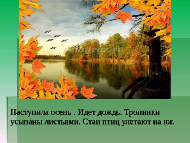 Шерстяная Новая зимняя 
