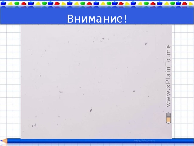 Внимание! 
