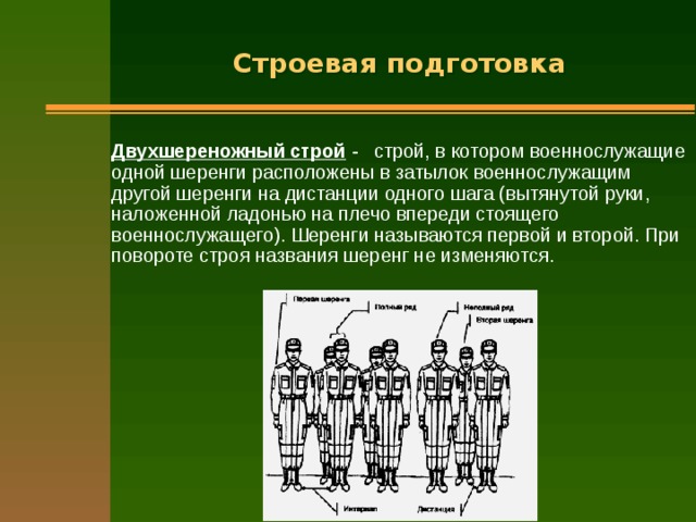 Строевая подготовка Двухшереножный строй - строй, в котором военнослужащие одной шеренги расположены в затылок военнослужащим другой шеренги на дистанции одного шага (вытянутой руки, наложенной ладонью на плечо впереди стоящего военнослужащего). Шеренги называются первой и второй. При повороте строя названия шеренг не изменяются. 