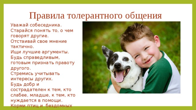 Правила толерантного общения Уважай собеседника. Старайся понять то, о чем говорят другие. Отстаивай свое мнение тактично. Ищи лучшие аргументы. Будь справедливым, готовым признать правоту другого. Стремись учитывать интересы других. Будь добр и сострадателен к тем, кто слабее, младше, к тем, кто нуждается в помощи. Корми птиц и бездомных животных. 