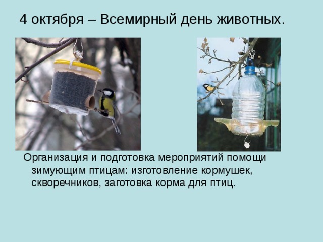 4 октября – Всемирный день животных.  Организация и подготовка мероприятий помощи зимующим птицам: изготовление кормушек, скворечников, заготовка корма для птиц. 