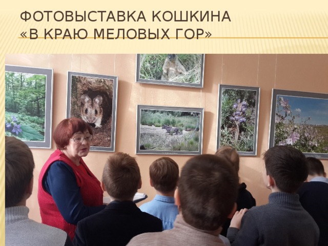 Фотовыставка Кошкина  «В краю меловых гор» 