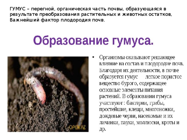 ГУМУС – перегной, органическая часть почвы, образующаяся в результате преобразования растительных и животных остатков, Важнейший фактор плодородия почв. 