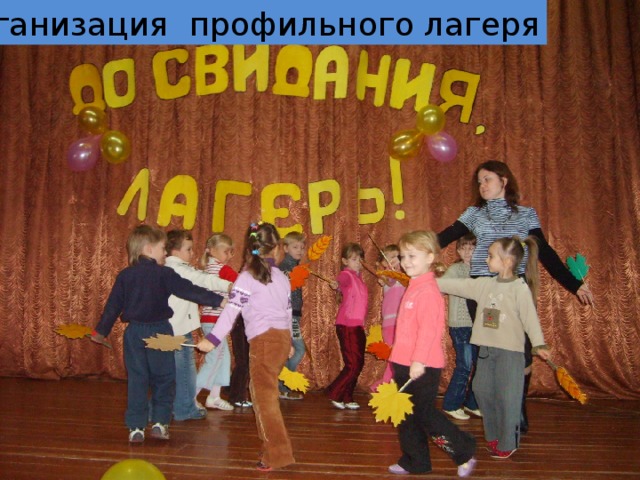 Организация профильного лагеря 