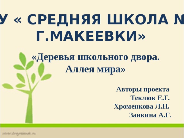 МОУ « Средняя школа № 7  г.Макеевки» «Деревья школьного двора. Аллея мира»  Авторы проекта Теклюк Е.Г. Хроменкова Л.Н. Заикина А.Г . 