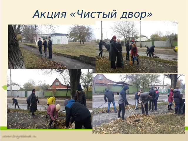 Акция «Чистый двор» 
