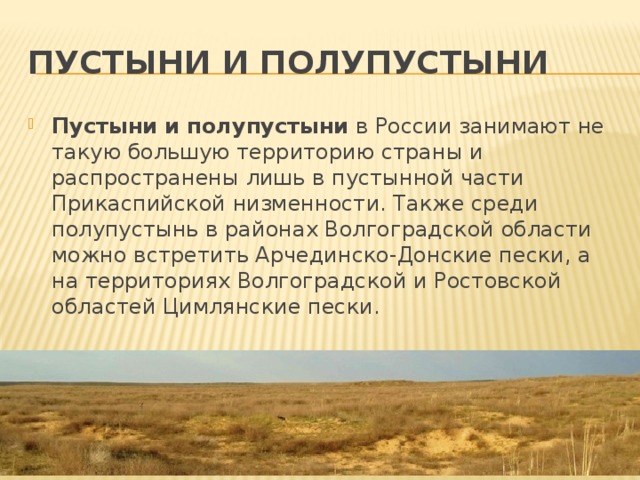 Пустыни и полупустыни Пустыни и полупустыни  в России занимают не такую большую территорию страны и распространены лишь в пустынной части Прикаспийской низменности. Также среди полупустынь в районах Волгоградской области можно встретить Арчединско-Донские пески, а на территориях Волгоградской и Ростовской областей Цимлянские пески. 