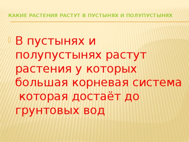 Какие растения растут в пустынях и полупустынях   В пустынях и полупустынях растут растения у которых большая корневая система которая достаёт до грунтовых вод 