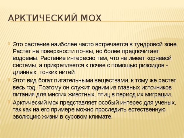 Арктический мох Это растение наиболее часто встречается в тундровой зоне. Растет на поверхности почвы, но более предпочитает водоемы. Растение интересно тем, что не имеет корневой системы, а прикрепляется к почве с помощью ризоидов - длинных, тонких нитей. Этот вид богат питательными веществами, к тому же растет весь год. Поэтому он служит одним из главных источников питания для многих животных, птиц в период их миграции. Арктический мох представляет особый интерес для ученых, так как на его примере можно проследить естественную эволюцию жизни в суровом климате. 