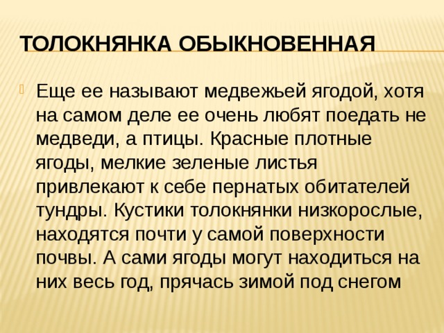 Толокнянка обыкновенная Еще ее называют медвежьей ягодой, хотя на самом деле ее очень любят поедать не медведи, а птицы. Красные плотные ягоды, мелкие зеленые листья привлекают к себе пернатых обитателей тундры. Кустики толокнянки низкорослые, находятся почти у самой поверхности почвы. А сами ягоды могут находиться на них весь год, прячась зимой под снегом 