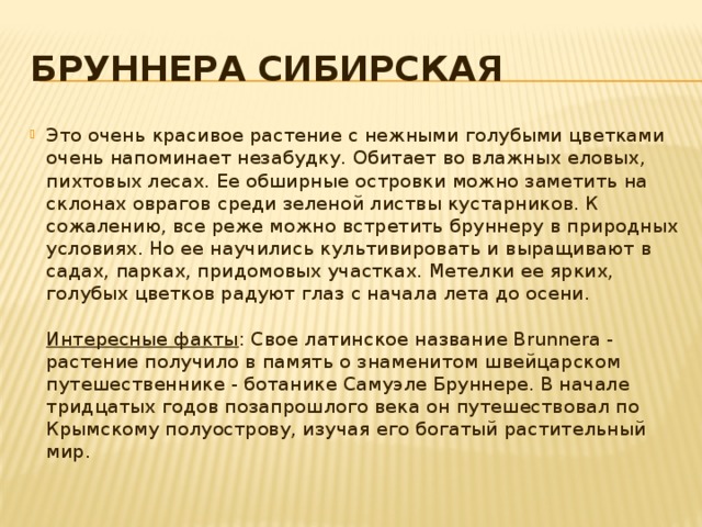 Бруннера сибирская Это очень красивое растение с нежными голубыми цветками очень напоминает незабудку. Обитает во влажных еловых, пихтовых лесах. Ее обширные островки можно заметить на склонах оврагов среди зеленой листвы кустарников. К сожалению, все реже можно встретить бруннеру в природных условиях. Но ее научились культивировать и выращивают в садах, парках, придомовых участках. Метелки ее ярких, голубых цветков радуют глаз с начала лета до осени.    Интересные факты : Свое латинское название Brunnera - растение получило в память о знаменитом швейцарском путешественнике - ботанике Самуэле Бруннере. В начале тридцатых годов позапрошлого века он путешествовал по Крымскому полуострову, изучая его богатый растительный мир. 