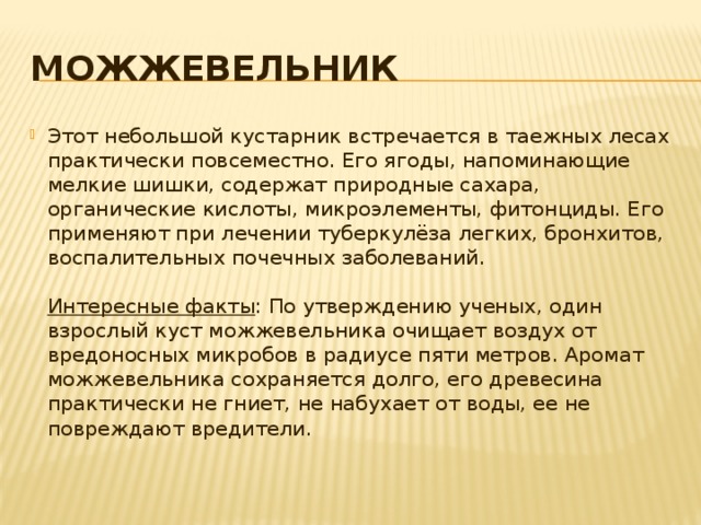 Можжевельник Этот небольшой кустарник встречается в таежных лесах практически повсеместно. Его ягоды, напоминающие мелкие шишки, содержат природные сахара, органические кислоты, микроэлементы, фитонциды. Его применяют при лечении туберкулёза легких, бронхитов, воспалительных почечных заболеваний.    Интересные факты : По утверждению ученых, один взрослый куст можжевельника очищает воздух от вредоносных микробов в радиусе пяти метров. Аромат можжевельника сохраняется долго, его древесина практически не гниет, не набухает от воды, ее не повреждают вредители. 