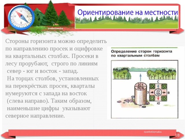 Стороны горизонта можно определить по направлению просек и оцифровке на квартальных столбах. Просеки в лесу прорубают, строго по линиям  север - юг и восток - запад.  На торцах столбов, установленных на перекрёстках просек, кварталы нумеруются с запада на восток  (слева направо). Таким образом,  наименьшие цифры указывают северное направление.  