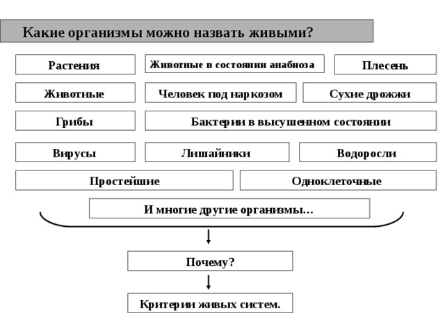  Какие организмы можно назвать живыми? Плесень Растения Животные в состоянии анабиоза Человек под наркозом Сухие дрожжи Животные Бактерии в высушенном состоянии Грибы Лишайники Вирусы Водоросли Одноклеточные Простейшие И многие другие организмы… Почему? Критерии живых систем. 