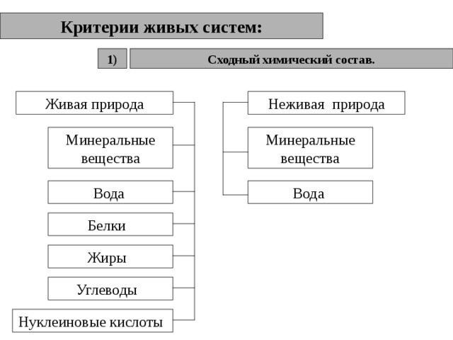 Критерии живых систем: 1) Сходный химический состав. Неживая природа Живая природа Минеральные вещества Минеральные вещества Вода Вода Белки Жиры Углеводы Нуклеиновые кислоты 