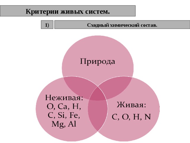 Критерии живых систем. Сходный химический состав. 1) 