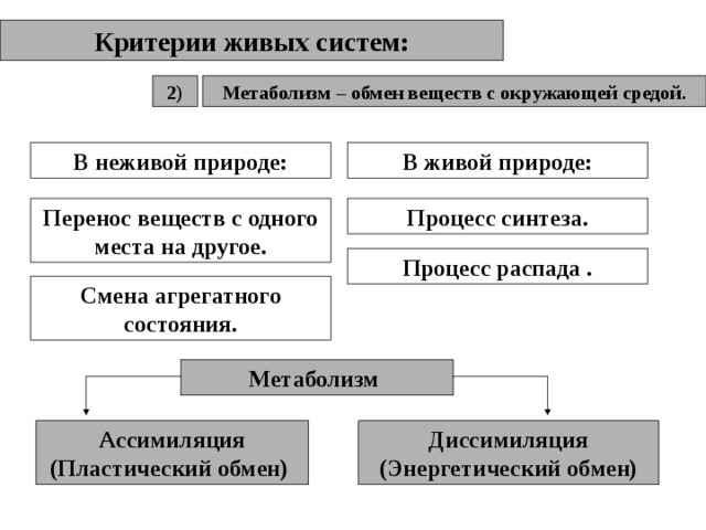 Критерии живых систем: Метаболизм – обмен веществ с окружающей средой. 2) В неживой природе: В живой природе: Перенос веществ с одного места на другое. Процесс синтеза. Процесс распада . Смена агрегатного состояния. Метаболизм Ассимиляция (Пластический обмен) Диссимиляция (Энергетический обмен) 