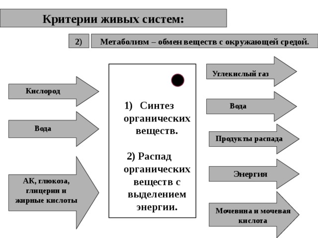 Критерии живых систем: Метаболизм – обмен веществ с окружающей средой. 2) Углекислый газ Кислород Синтез органических веществ.  2) Распад органических веществ с выделением энергии. Вода Вода Продукты распада  Энергия АК, глюкоза, глицерин и жирные кислоты Мочевина и мочевая кислота 