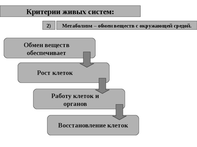 Критерии живых систем: Метаболизм – обмен веществ с окружающей средой. 2) Обмен веществ обеспечивает Рост клеток Работу клеток и органов Восстановление клеток 