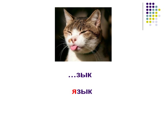 … зык я зык 