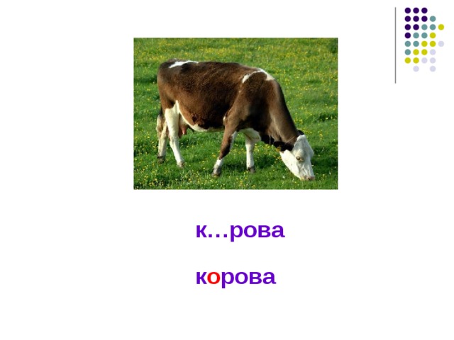 к…рова к о рова 