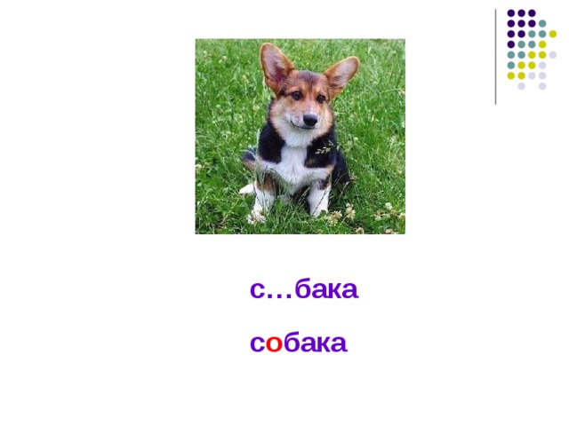 с…бака с о бака 