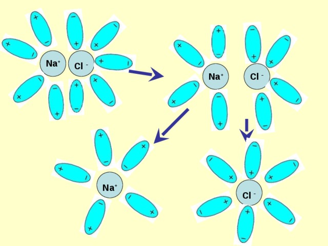 Na + Cl - Na + Cl - Na + Cl - 