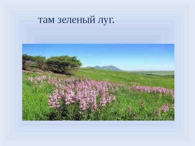 там зеленый луг. 