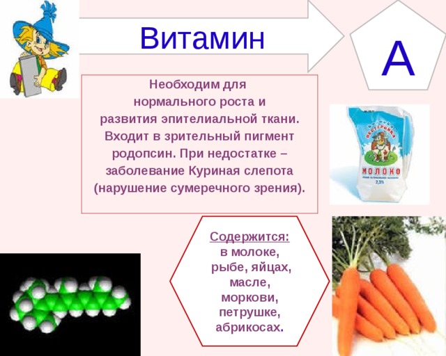 Витамин А Необходим для нормального роста и развития эпителиальной ткани. Входит в зрительный пигмент родопсин. При недостатке – заболевание Куриная слепота (нарушение сумеречного зрения).  Содержится: в молоке,  рыбе, яйцах, масле, моркови, петрушке, абрикосах . 