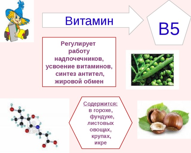 B5 Витамин Регулирует работу надпочечников, усвоение витаминов,  синтез антител, жировой обмен Содержится: в горохе,  фундуке, листовых овощах,  крупах, икре 