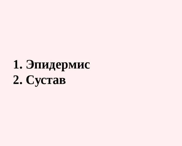   1. Эпидермис  2. Сустав    