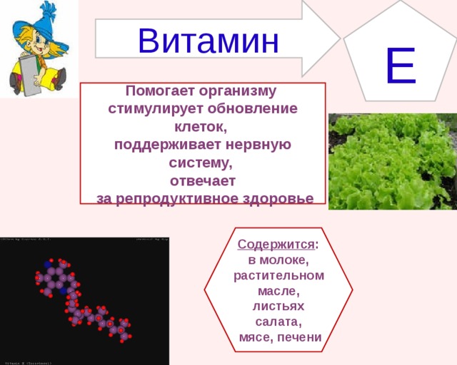 E Витамин Помогает организму стимулирует обновление клеток, поддерживает нервную систему, отвечает  за репродуктивное здоровье Содержится : в молоке, растительном масле, листьях салата,  мясе, печени 