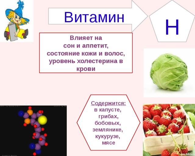 Витамин H Влияет на  сон и аппетит, состояние кожи и волос, уровень холестерина в крови Содержится: в капусте, грибах, бобовых, землянике, кукурузе, мясе 