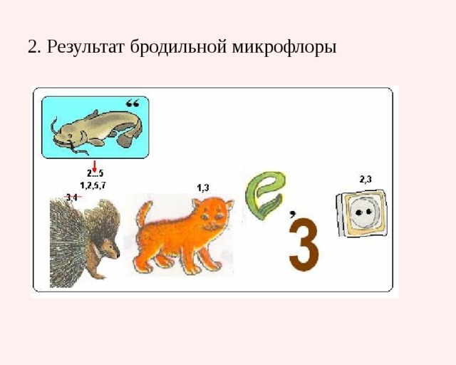 2. Результат бродильной микрофлоры 
