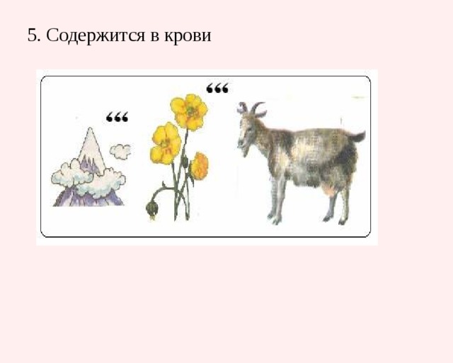 5. Содержится в крови   
