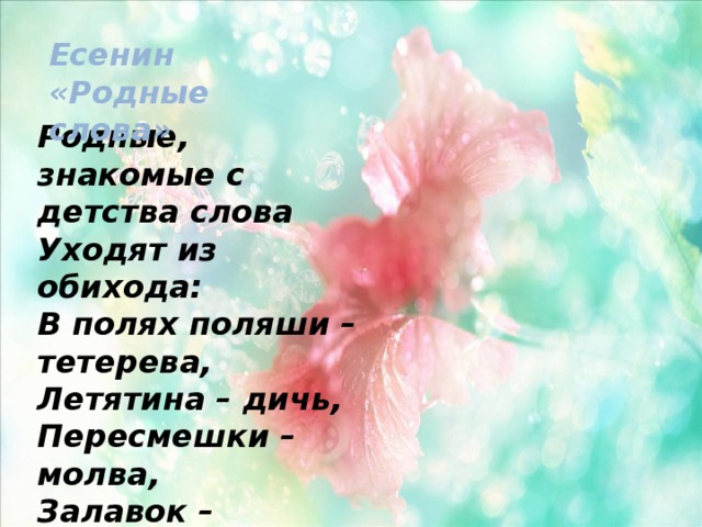 Есенин «Родные слова»  Родные, знакомые с детства слова  Уходят из обихода:  В полях поляши – тетерева,  Летятина – дичь,  Пересмешки – молва,  Залавок – подобье комода. 