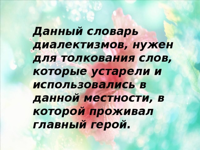 Данный словарь диалектизмов, нужен для толкования слов, которые устарели и использовались в данной местности, в которой проживал главный герой. 