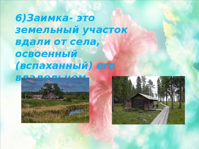 6)Заимка- это земельный участок вдали от села, освоенный (вспаханный) его владельцем. 