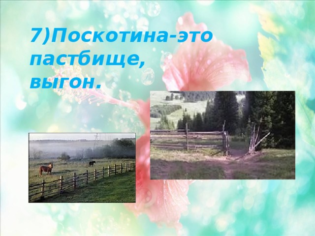 7)Поскотина-это пастбище, выгон. 