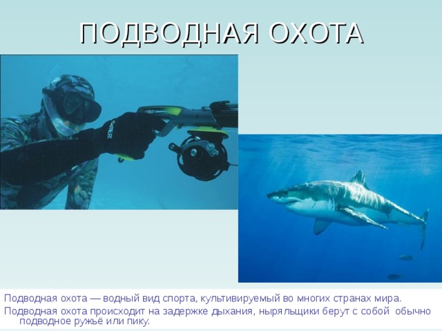Подводная охота — водный вид спорта, культивируемый во многих странах мира. Подводная охота происходит на задержке дыхания, ныряльщики берут с собой обычно подводное ружьё или пику. 