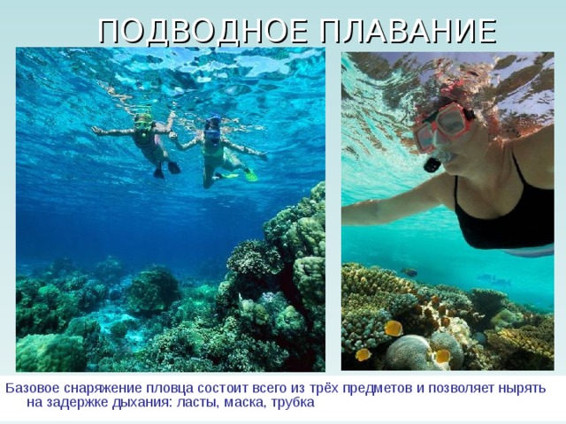 ПОДВОДНОЕ ПЛАВАНИЕ Базовое снаряжение пловца состоит всего из трёх предметов и позволяет нырять на задержке дыхания: ласты, маска, трубка 