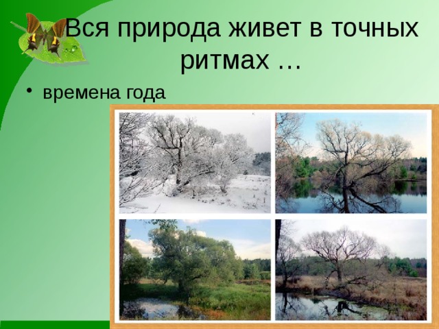 Вся природа живет в точных ритмах … времена года 