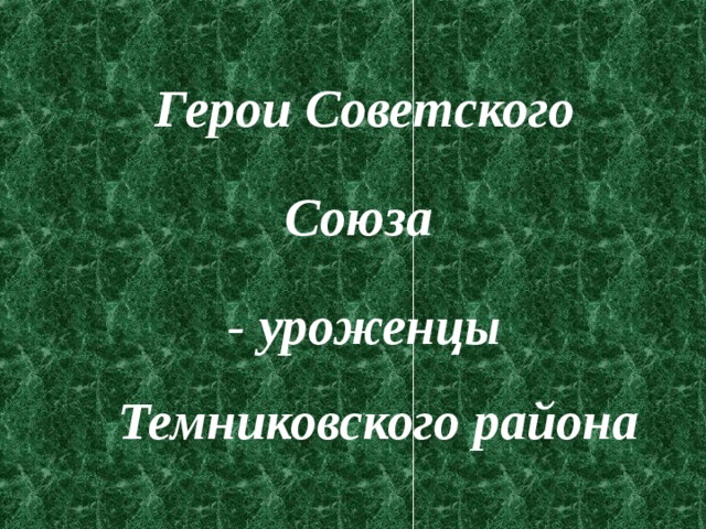 Герои Советского Союза - уроженцы Темниковского района  