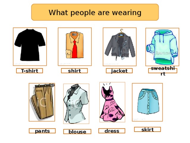 What people are wearing sweatshirt jacket shirt T-shirt skirt pants dress blouse 