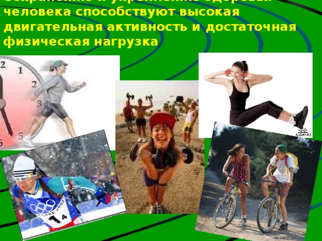 Сохранению и укреплению здоровья человека способствуют высокая двигательная активность и достаточная физическая нагрузка 