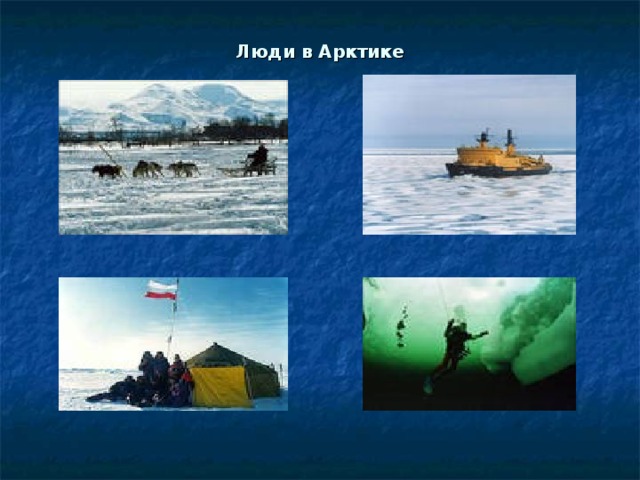 Люди в Арктике 