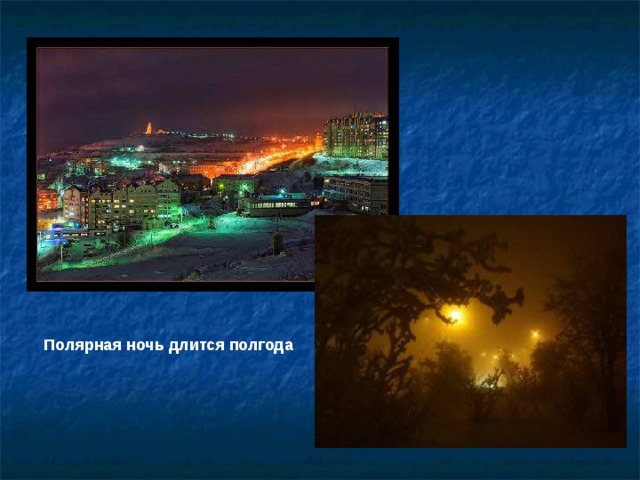 Полярная ночь длится полгода 